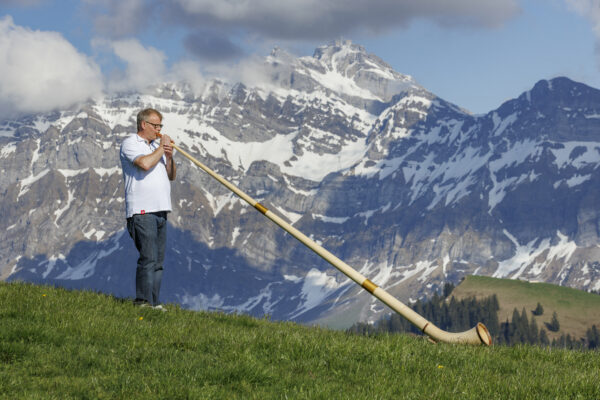 Alphorn 3-Piece Spruce in F#/Gb and F complete