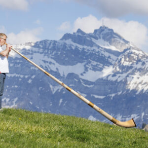 Alphorn 6-Piece Pine in F#/Gb or F