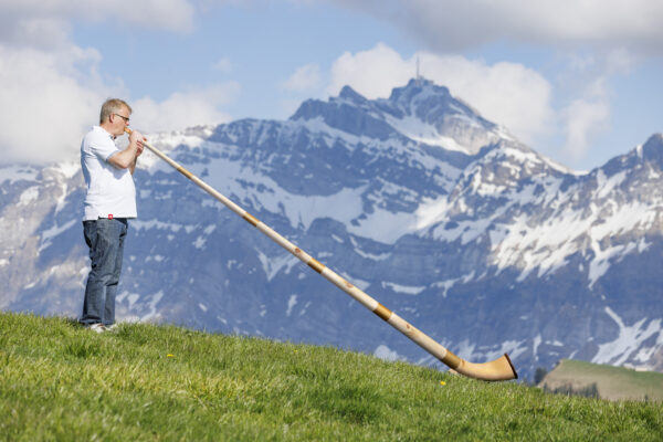 Alphorn 6-teilig Arve, Fis/Ges oder F