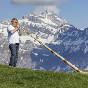 Alphorn 6-Piece Swiss Spruce in F#/Gb or F