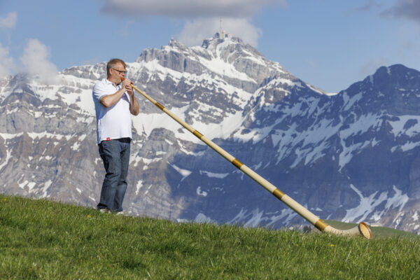 Alphorn 6-teilig Fichte, Fis/Ges oder F