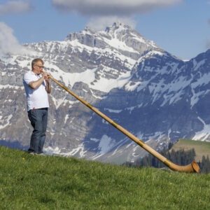 Alphorn 6-Piece Cherry in F#/Gb or F