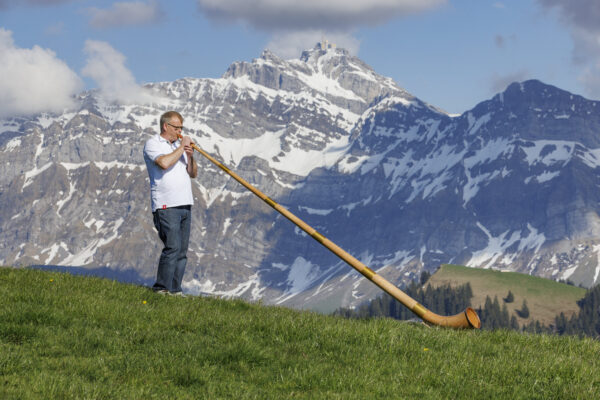 Alphorn 6-Piece Cherry in F#/Gb or F