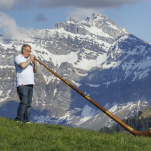 Alphorn 6-Piece American Walnut in F#/Gb or F
