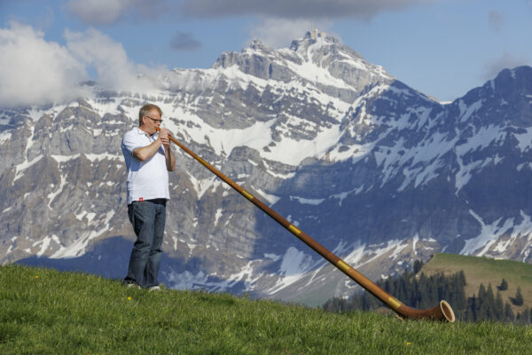 Alphorn 6-Piece American Walnut in F#/Gb or F