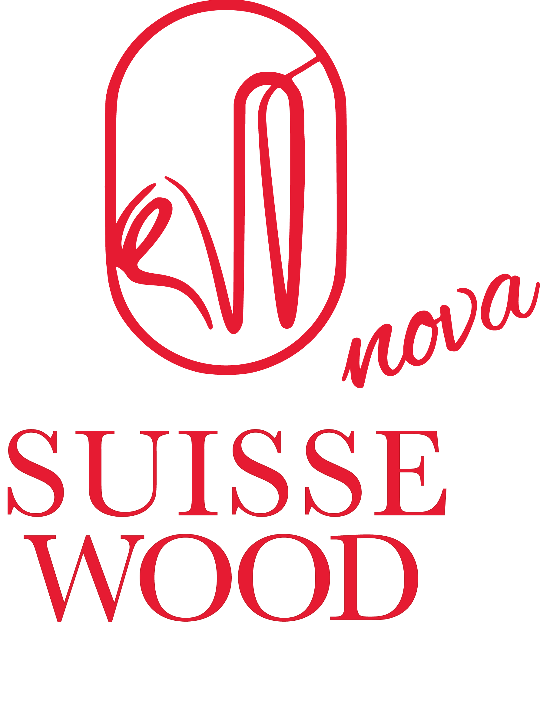 Klangstark und preiswert - SUISSEWOOD Nova Traveler – Bild 15