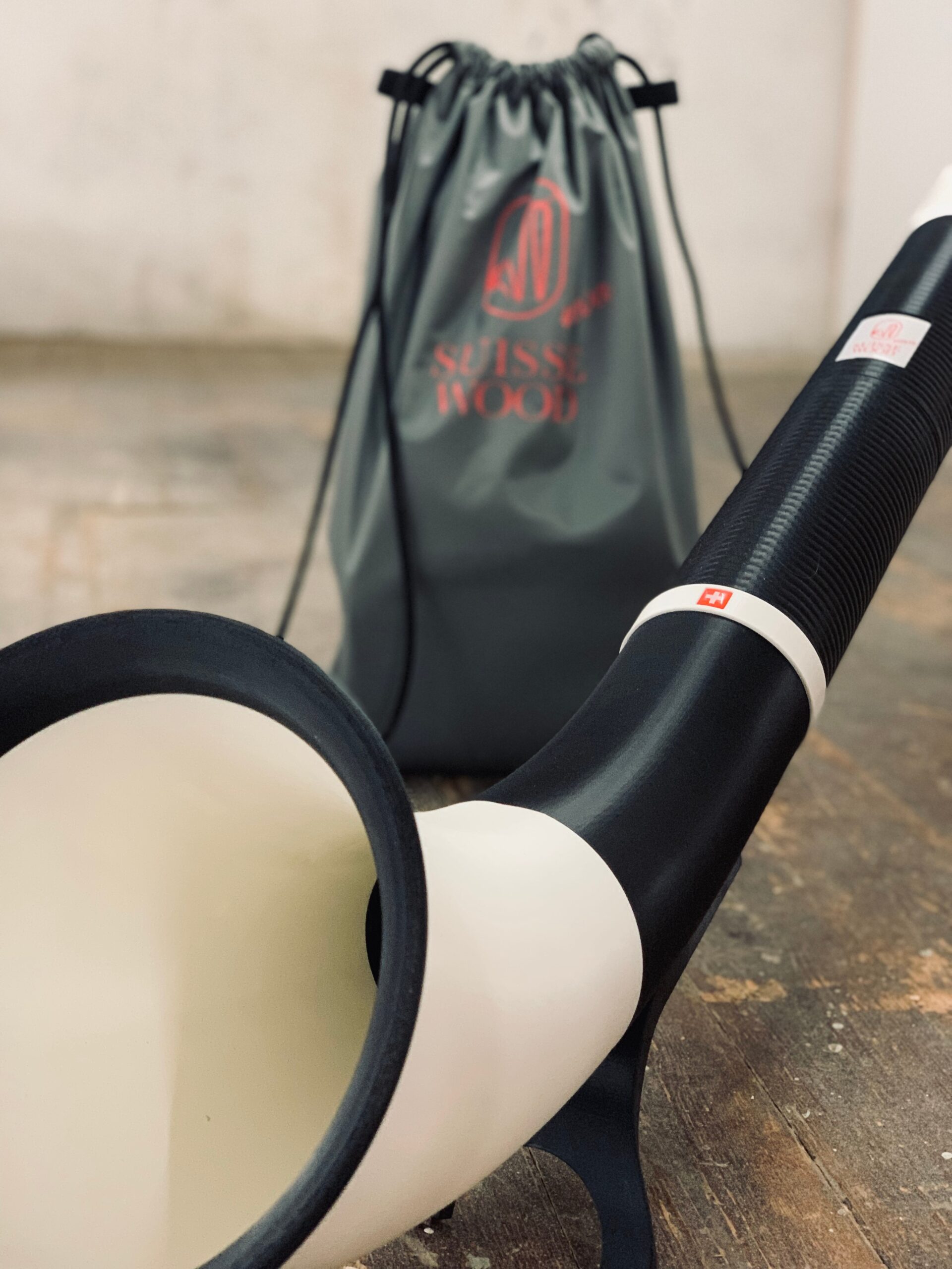 Affordable with powerful sound – SUISSEWOOD Nova Traveler Mooo - Image 7