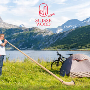 Affordable with powerful sound - SUISSEWOOD Nova Traveler